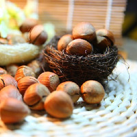 Hazelnut (SC)