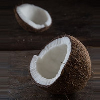 Coconut (EF)