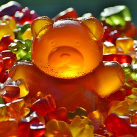 Gummy Bear (TP)