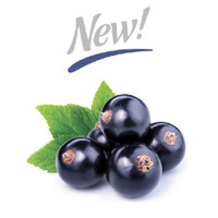 Black Currant (CSL)