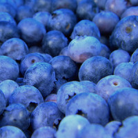 Blueberry (JF)