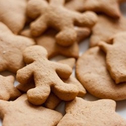 Gingerbread Cookie (TDA)