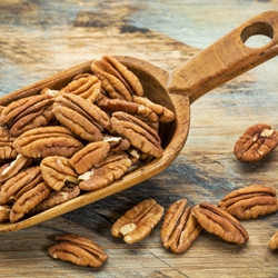 Pecan (TDA)