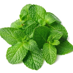 Spearmint (TDA)