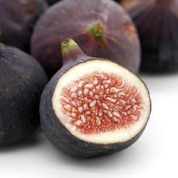 Fig (BD)