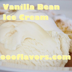 Ice Cream - Vanilla Bean (OOO)