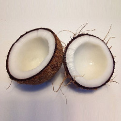 Creamy Coconut (EF)