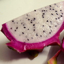 Dragon Fruit (HC)