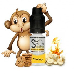 Monkey (SA)