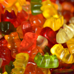 Gummy Bear (EF) Gummy Bear (EF)