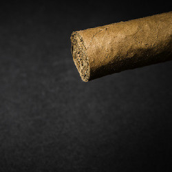 Cuban Cigar (TP)