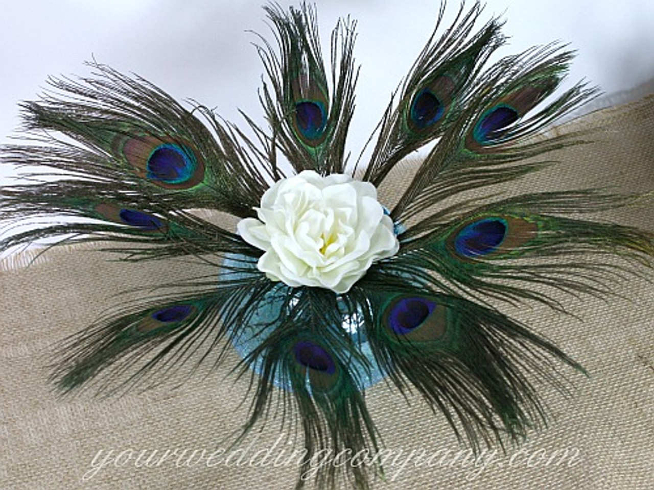 Black Marabou Feathers (5to 6)