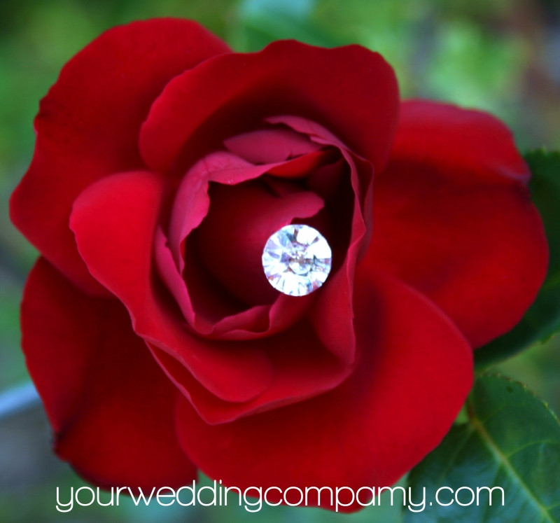 Acrylic Crystal Flower Pins | Wedding Bouquet Pins