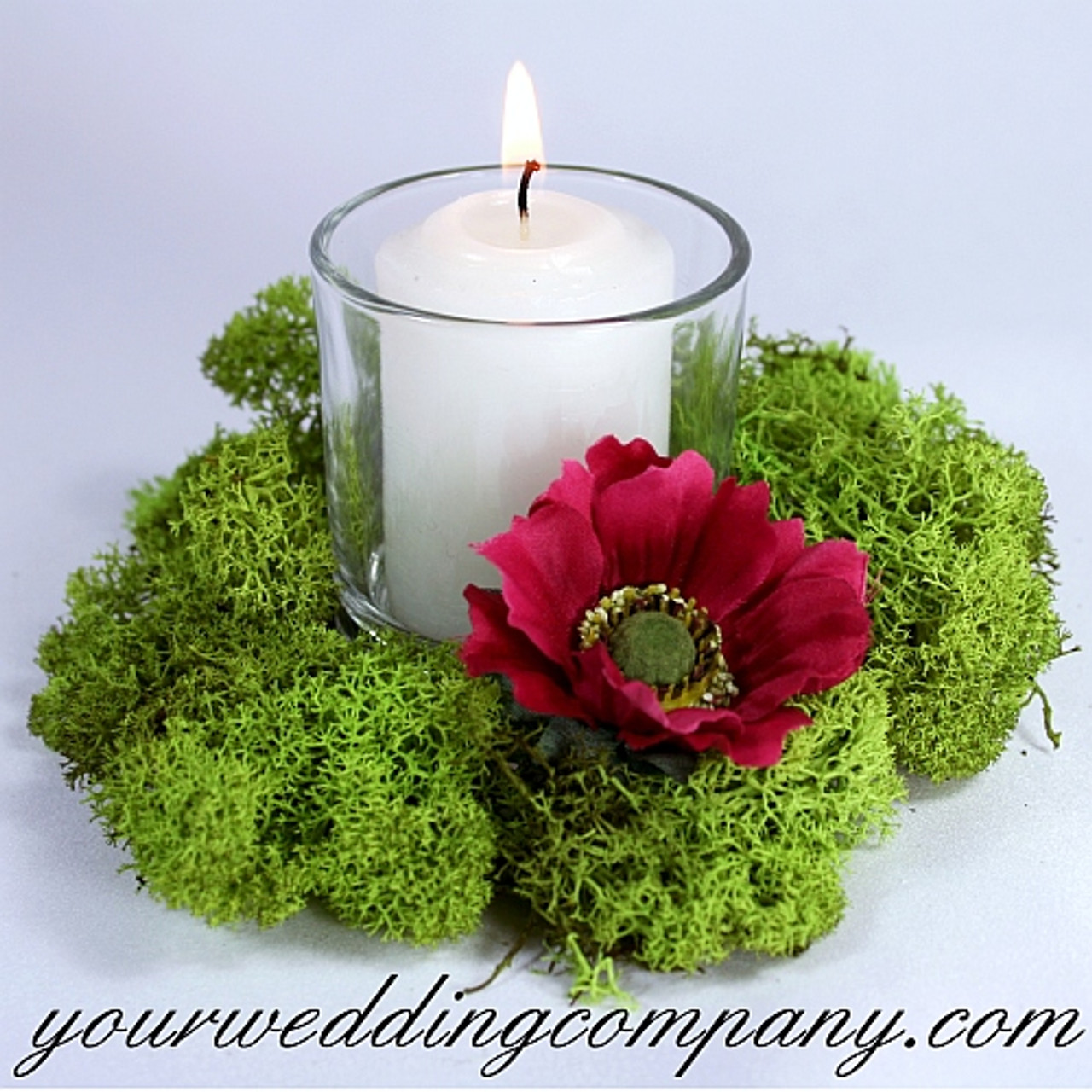 Premium Reindeer Moss, Moss Vase Filler