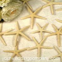 Large Finger Starfish