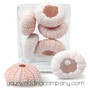 Mini dried pink sea urchins
