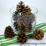 Rustic Pacific Northwest Pine Cones - Centerpiece Idea