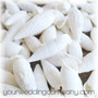 White Cerithium Vertagus Shells - Wedding Decoration
