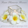 Plumeria (Frangipani) Foam Flower Wedding Favor Accent