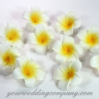 Foam Plumeria Flowers