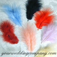 Marabou Feathers