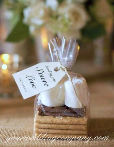 Smores Wedding Favor Idea