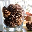 Pine Cones