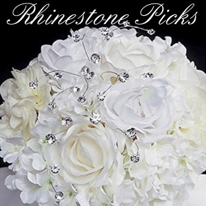 Rhinestone Picks