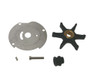 Water Pump Kit W/Housing by BRP (382468)