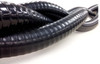 1" Live Well Hose 50' R/O Ctn. by Sea Star Solutions (116-149-1006)