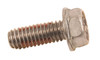 Screw by BRP (350271)