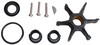 Impeller Kit by BRP (379768)