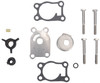 Water Pump Kit by BRP (436737)