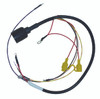 Evinrude, Johnson And Gale Outboard Motors Harness - CDI Electronics (413-9915)