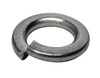 Lockwasher by GLM Products (21491)