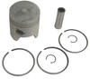 Piston Kit by Sea Star Solutions (118-4141) Piston Kit by Sea Star Solutions (118-4141)
