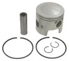 Piston Kit - Evinrude, Johnson And Gale Outboard Motors*Limited* - Sierra Marine Engine Parts - 18-4165 (118-4165) Piston Kit - Evinrude, Johnson And Gale Outboard Motors*Limited* - Sierra Marine Engine Parts - 18-4165 (118-4165)