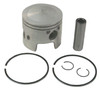 .020 PISTON - Evinrude, Johnson and Gale Outboard Motors (118-4190)