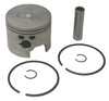 Piston Kit by Sea Star Solutions (118-4638) Piston Kit by Sea Star Solutions (118-4638)