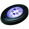 6 Led Oval Courtesy Light - Black by TH Marine (LED-OCL-1K-DP)