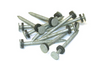 Galvin. #6 Nail W/Washer 1/8 Lb Pk (Dock Extrusion) by Taylormade (96028)
