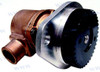 CUMMINS WATER PUMP (DJC0830)