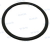 O-RING (PAF25-01000005L)