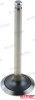 INTAKE VALVE (REC129005-11100)