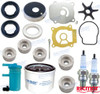 SUZUKI MAINTENANCE KIT (REC17400-95870)