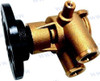 RAW WATER PUMP (REC3860703)