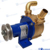 PUMP 25 SPECIAL (GS20226)