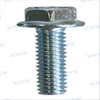 SCREW (REC10-37562)