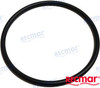 O-RING (REC25-815460)