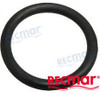 O-RING (REC304174)